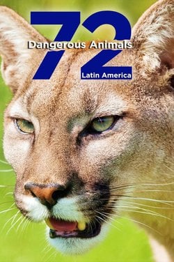Watch 72 Dangerous Animals: Latin America tv series streaming online |  